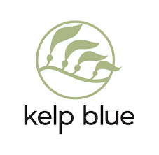 kelp-blue